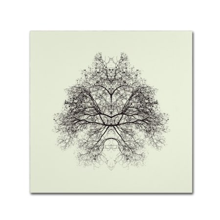 Trademark Fine Art Nadav Jonas 'Rorschach Test' Canvas Art, 24x24 1X03560-C2424GG